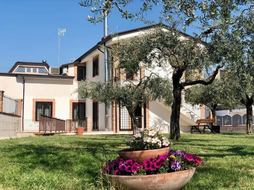 Gusto Nocciola Bauernhof Bagnoli (Benevento)